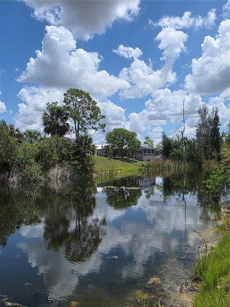 Natural landscape and outdoor views near  in Cape Coral (Image 40).