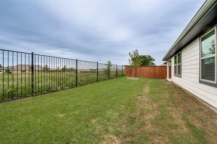 Back yard