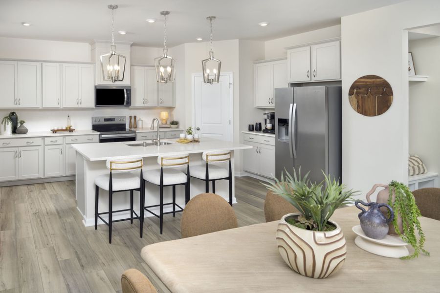 Redwood Model kitchen