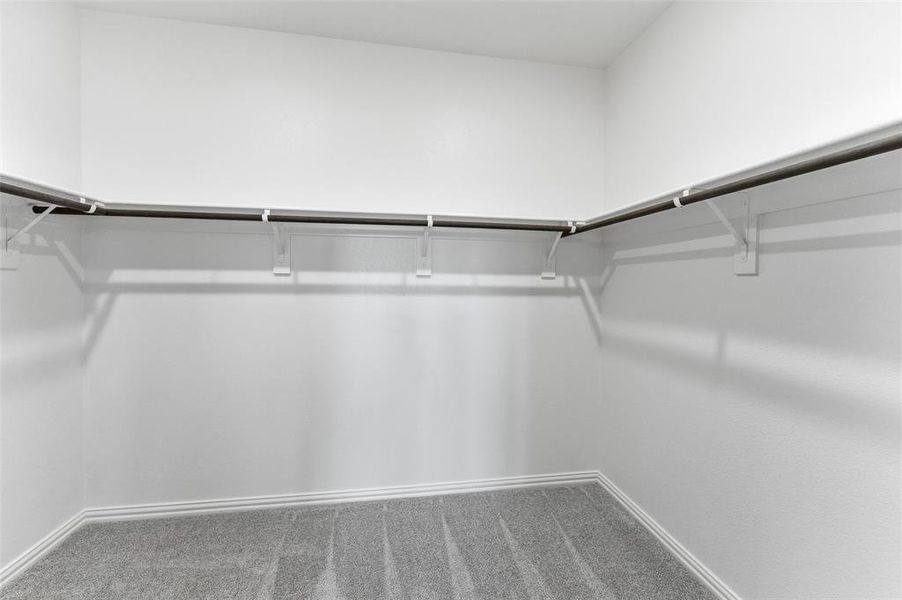 Walk in closet with carpet floors
