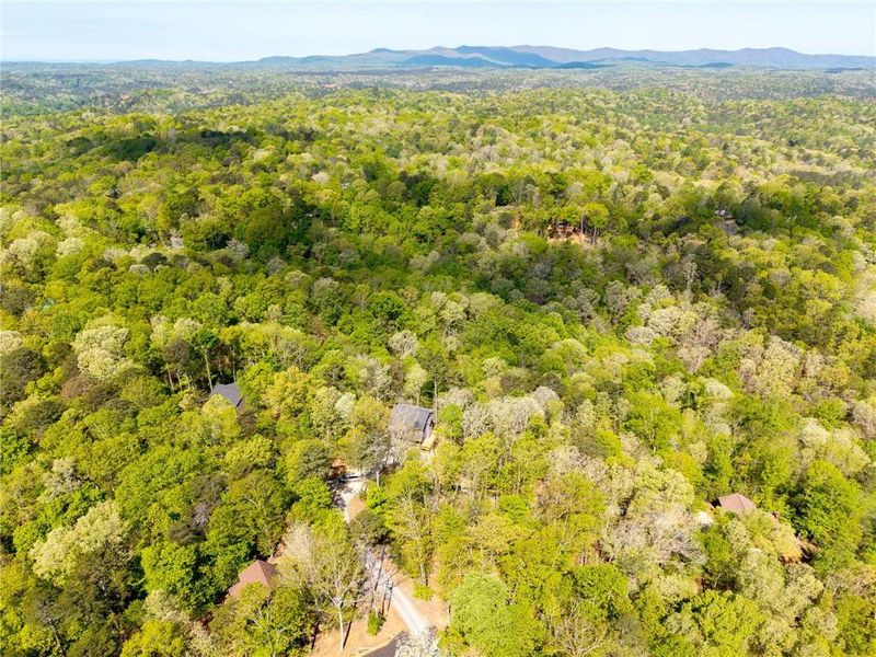 Natural landscape and outdoor views near  in Ellijay (Image 38).