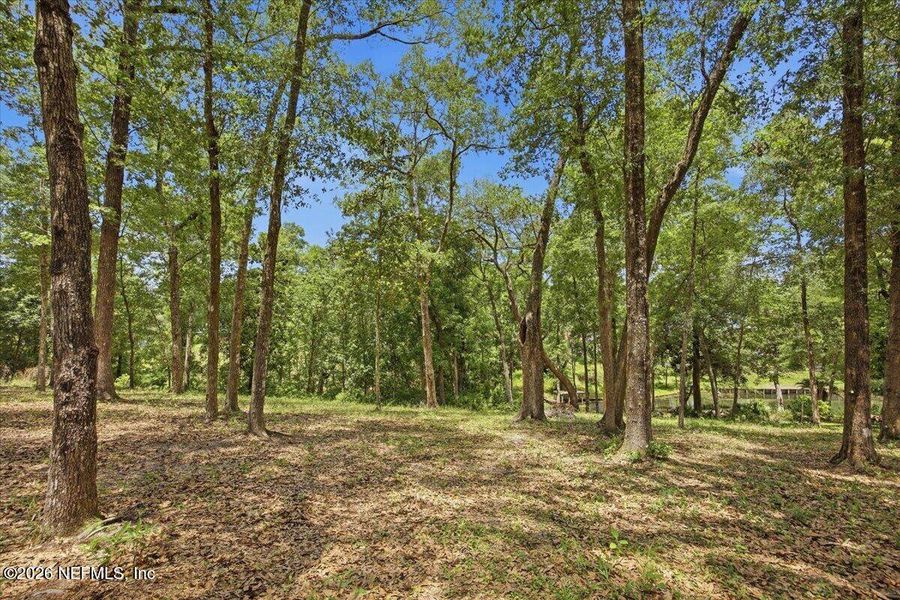 Natural landscape and outdoor views near  in Green Cove Springs (Image 31).