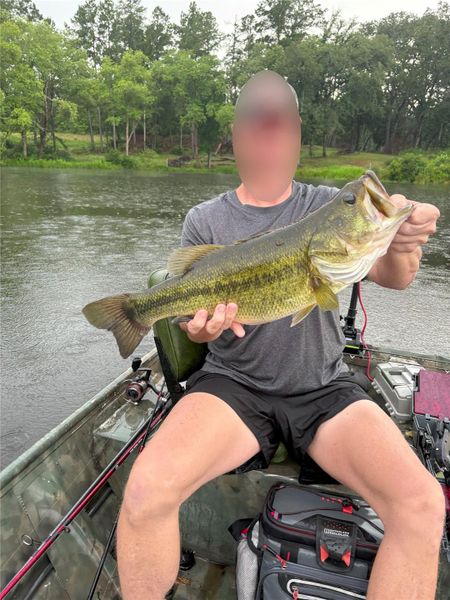 Lake is stock with healthy variety of fish