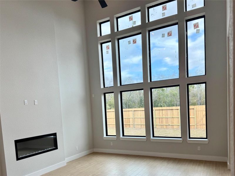 Wall of window letting in natural light and no back neighbors Wall of window letting in natural light and no back neighbors