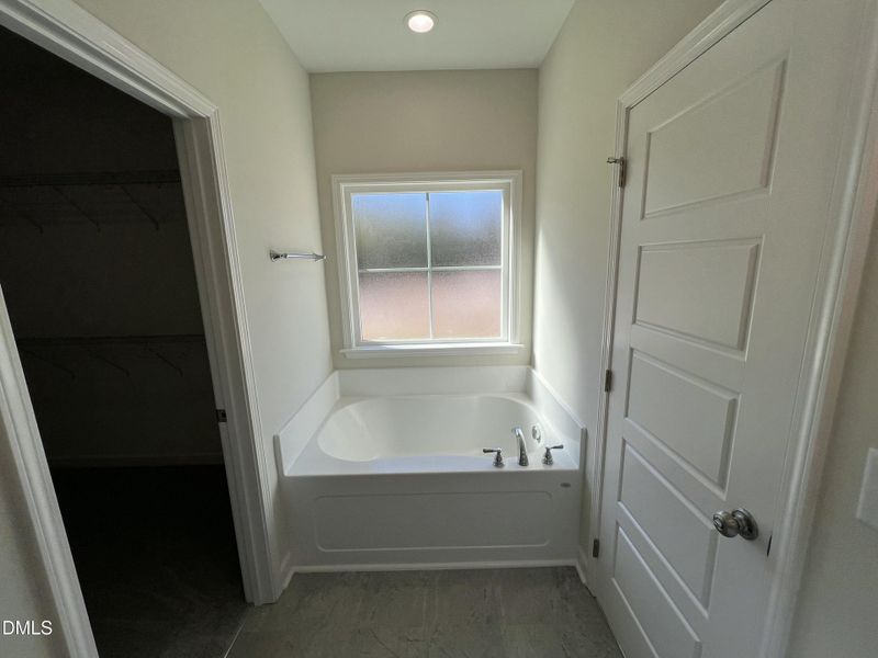 IMG_5211 2 IMG_5211 2