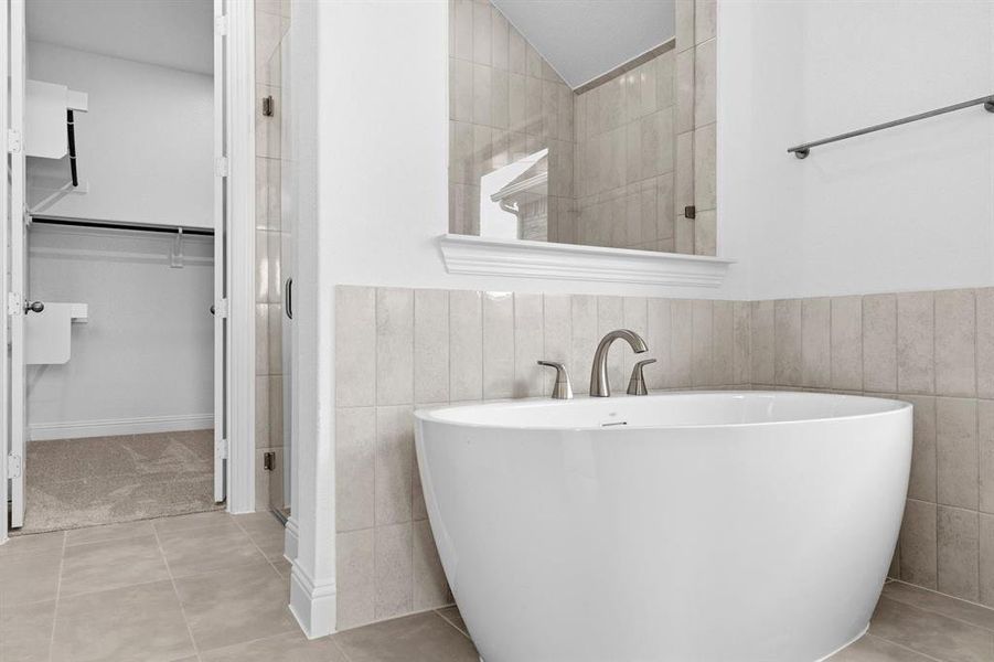 DAL_Painted Tree_Concord_3913 Attwater Street (22) DAL_Painted Tree_Concord_3913 Attwater Street (22)