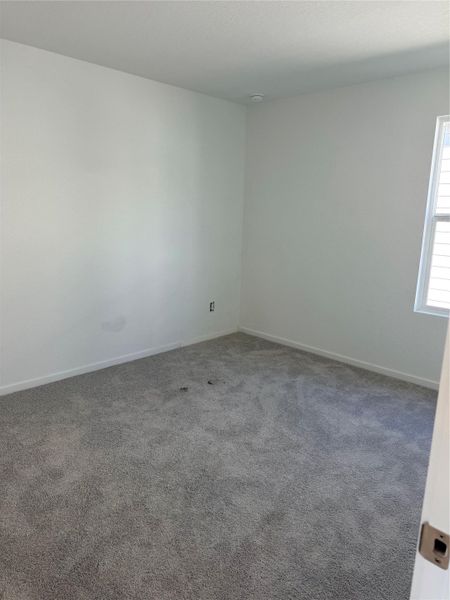 Carpeted empty room with baseboards Carpeted empty room with baseboards