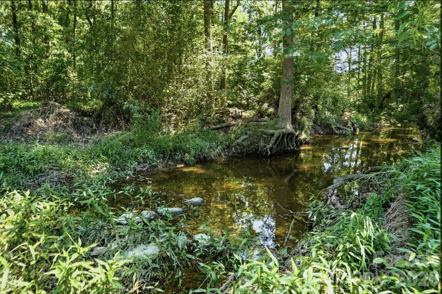 Natural landscape and outdoor views near  in Monroe (Image 46).