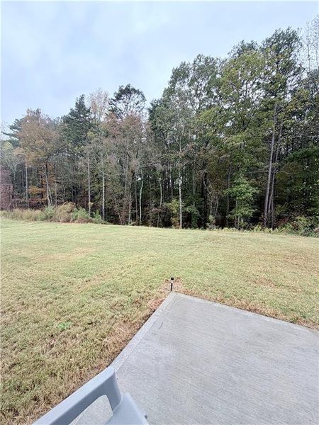 Natural landscape and outdoor views near in Adairsville (Image 40). Natural landscape and outdoor views near in Adairsville (Image 40).