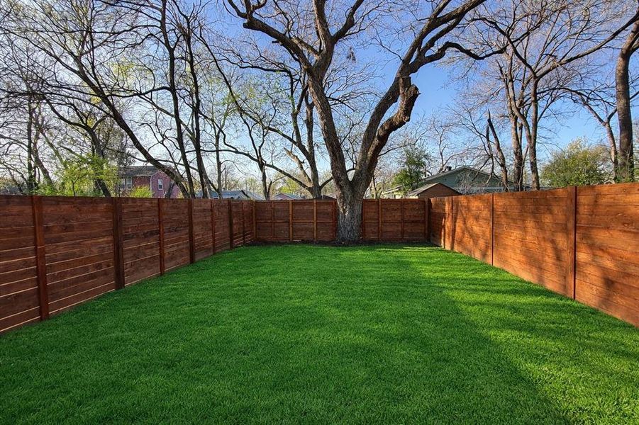 View of fenced backyard