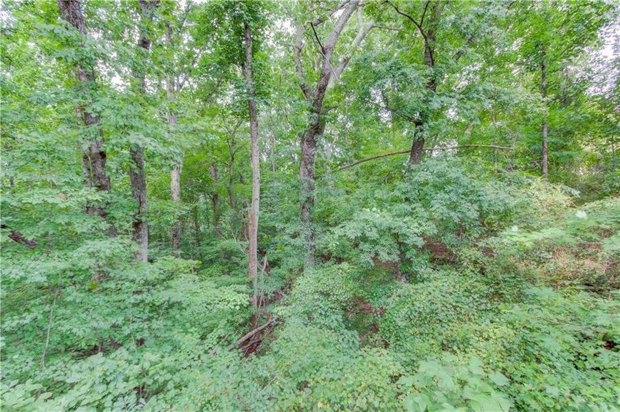 Natural landscape and outdoor views near  in Gainesville (Image 28).