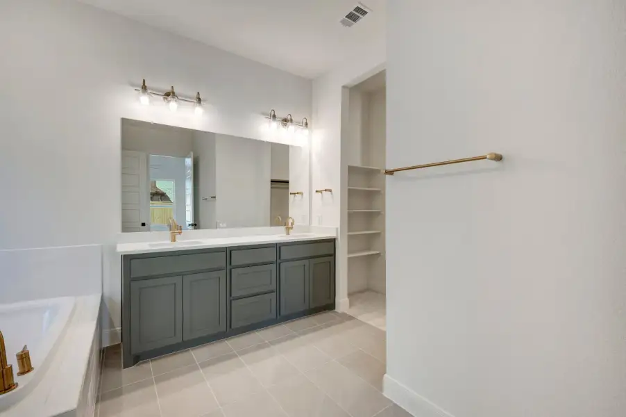 Owner's Bath