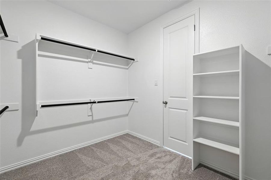 Spacious closet featuring light colored carpet Spacious closet featuring light colored carpet