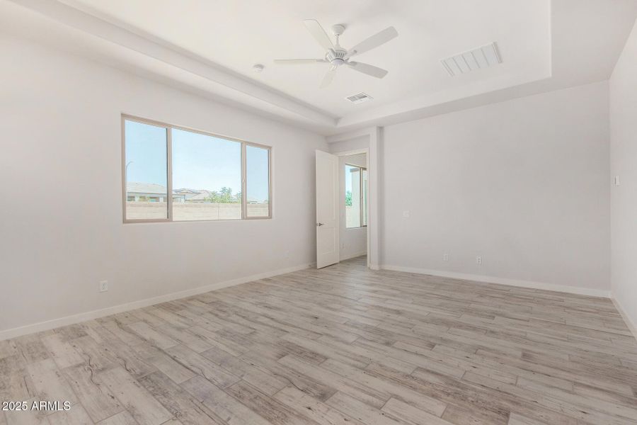 18 - Royal Palm 18 - Royal Palm