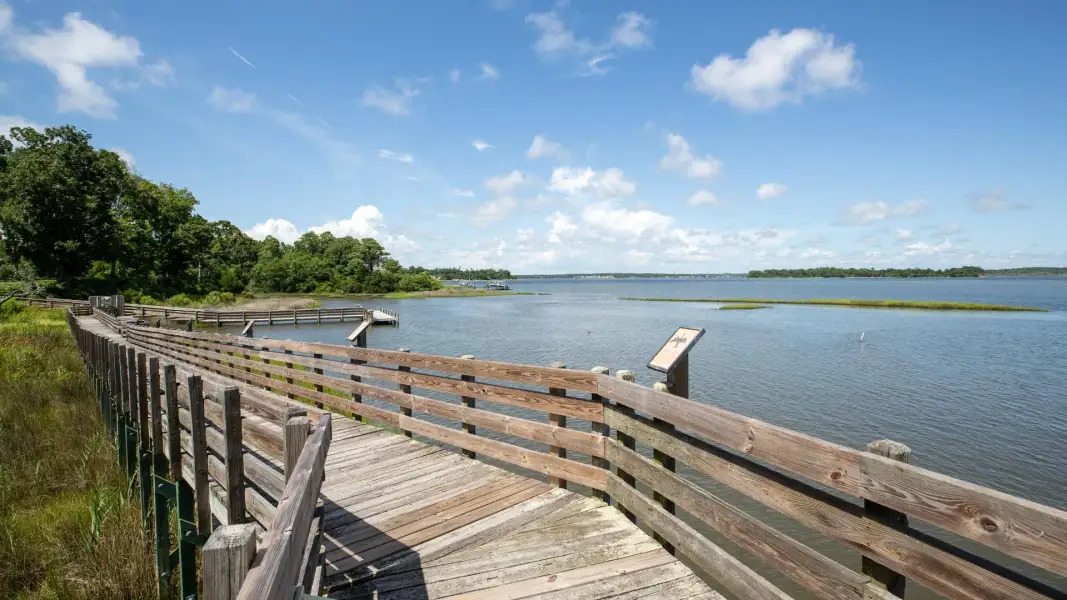 Outdoor and nature views near homes built from the Guilford by D.R. Horton in Brookside, Richlands (Image 10).