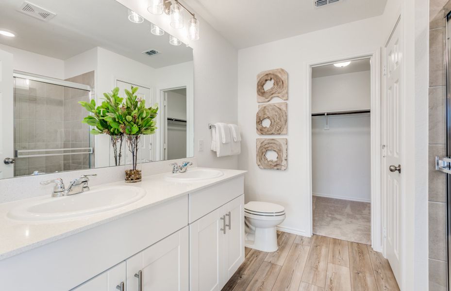 Double vanity in owner's bath