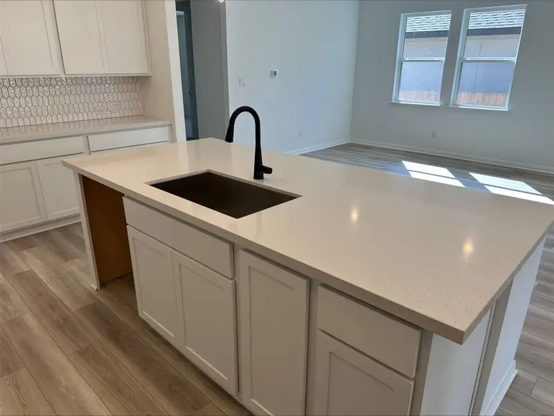 113 Wingstem Way ~ Under Construction 113 Wingstem Way ~ Under Construction