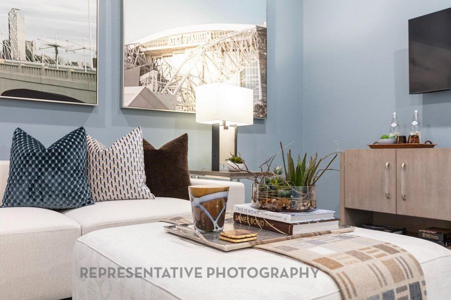 Entertainment Room Entertainment Room