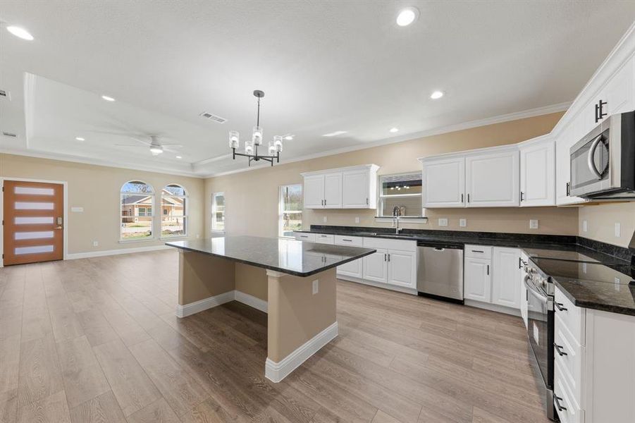 Kitchen featuring a tray ceiling, a center island, stainless steel appliances, visible vents, and light wood-type flooring