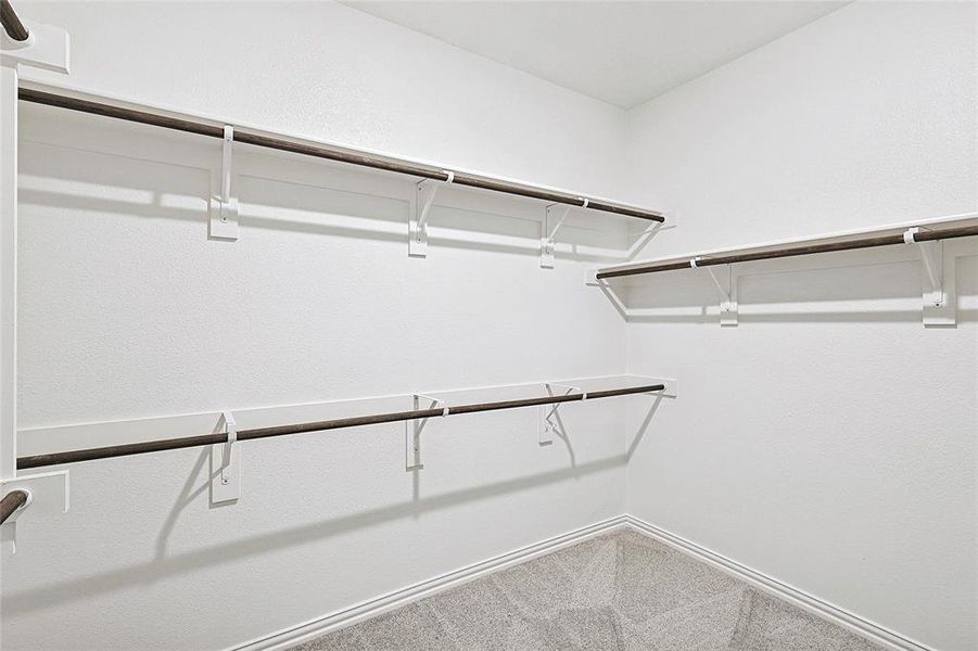 Walk in closet featuring carpet floors