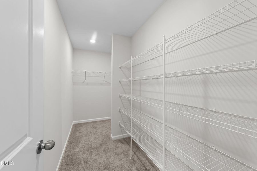 42-web-or-mls-VB4A6198