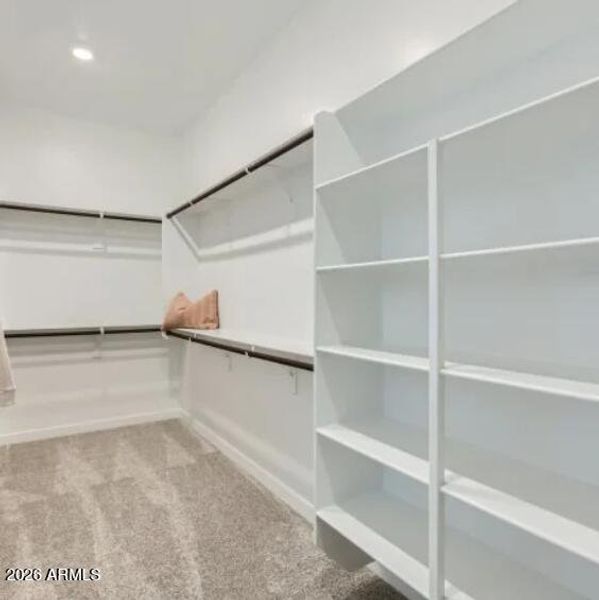 Owners Walk in Closet