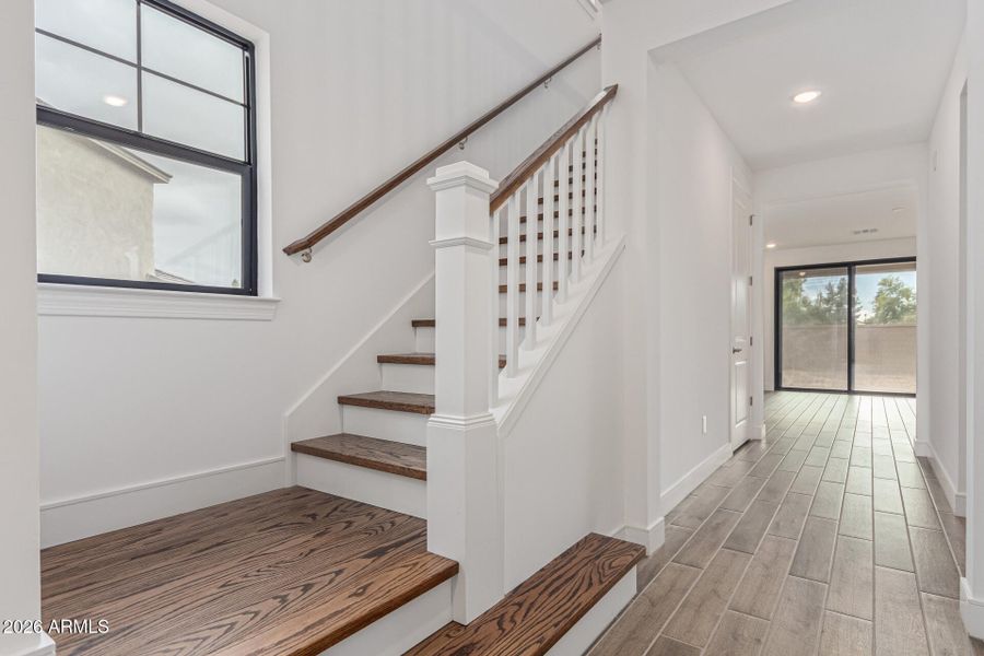 04-Los Arboles 04-Los Arboles