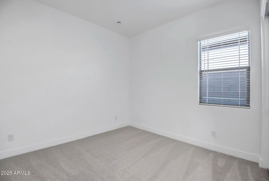 Palo Verde Lot 302 (9)