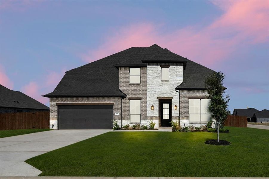 116 Grey Wolf- Twilight- 116 Grey Wolf- Twilight-