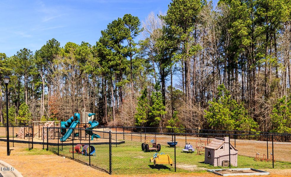 Lillington Community center (5)