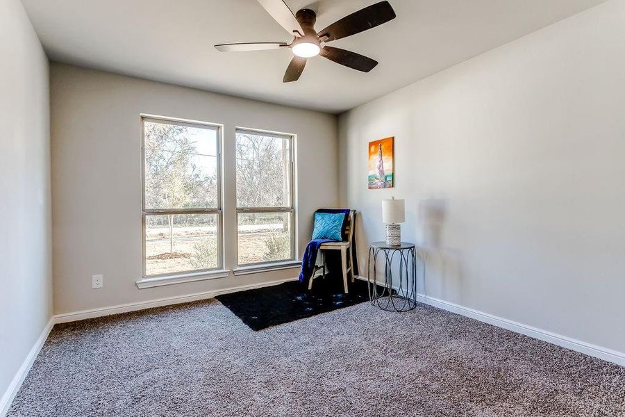 Workout area featuring carpet and ceiling fan