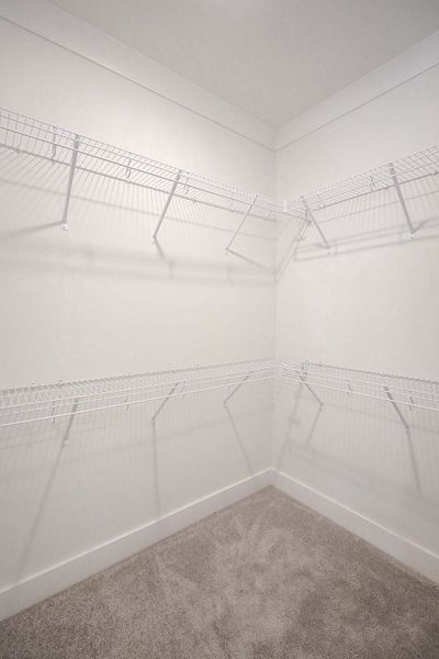 Spacious, unfurnished interior of a new home in Baker Road, Birchwood (Image 42).