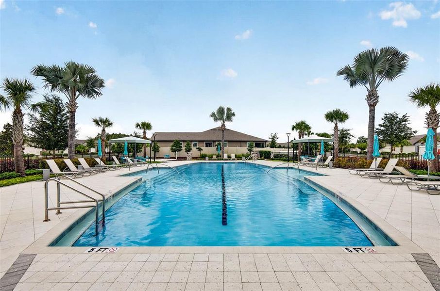 Community amenities in The Preserve at La Paloma, Sun City Center (Image 40).