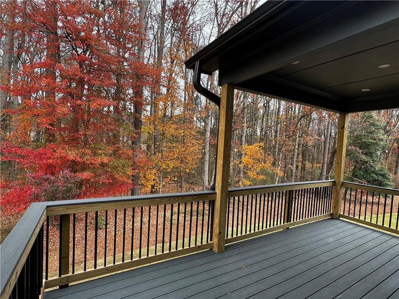 Exterior details and patio area of a home in The Paddocks at Doc Hughes, Buford (Image 23).