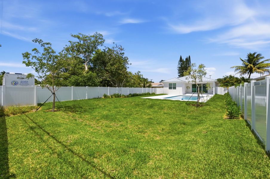 backyard backyard