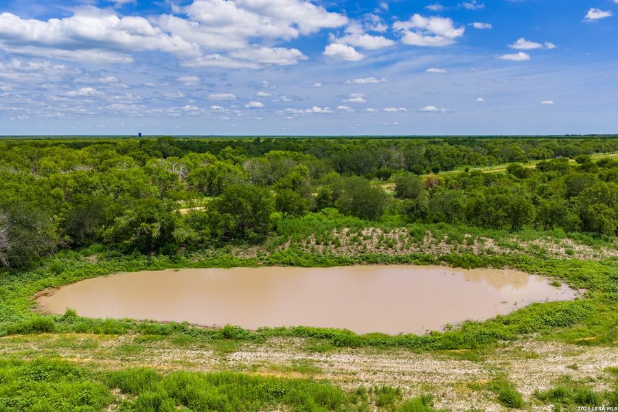 Natural landscape and outdoor views near  in Crystal City (Image 33).