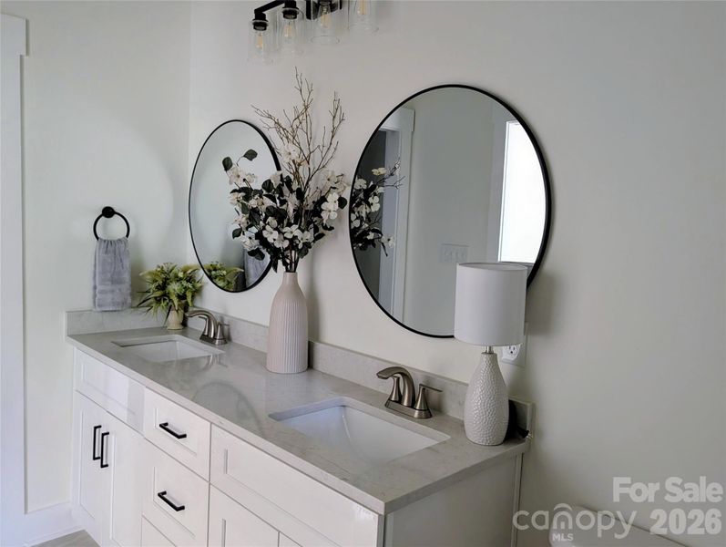 Ensuite bath cabinet and sink area. Ensuite bath cabinet and sink area.