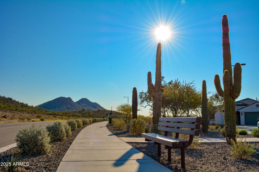 Aloravita Community Photos-1 Aloravita Community Photos-1