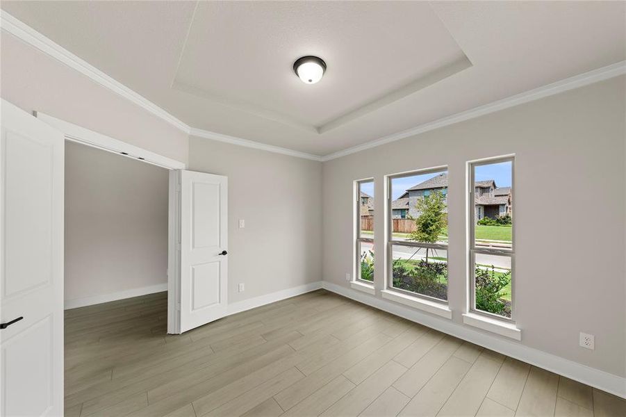 04. 1145 Chickadee - Study 04. 1145 Chickadee - Study