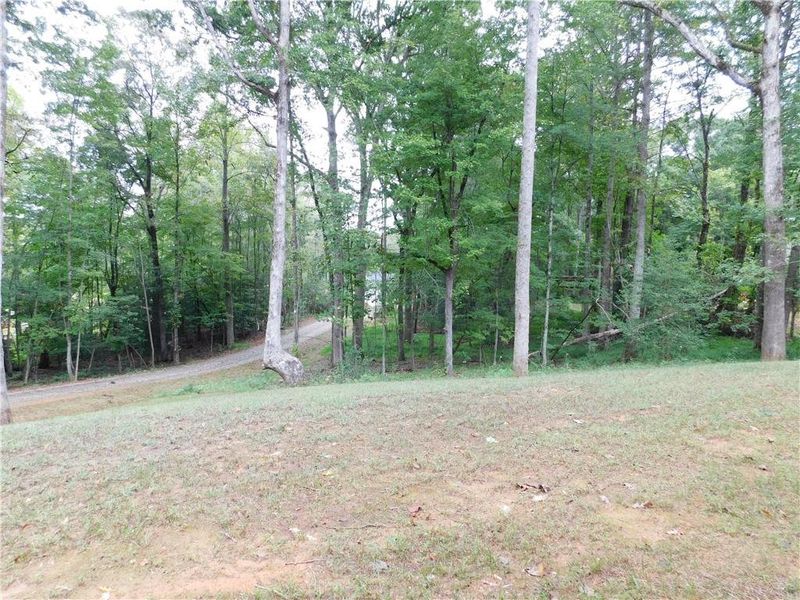 Natural landscape and outdoor views near in Dahlonega (Image 34). Natural landscape and outdoor views near in Dahlonega (Image 34).