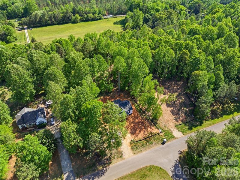 Natural landscape and outdoor views near  in Clover (Image 39).