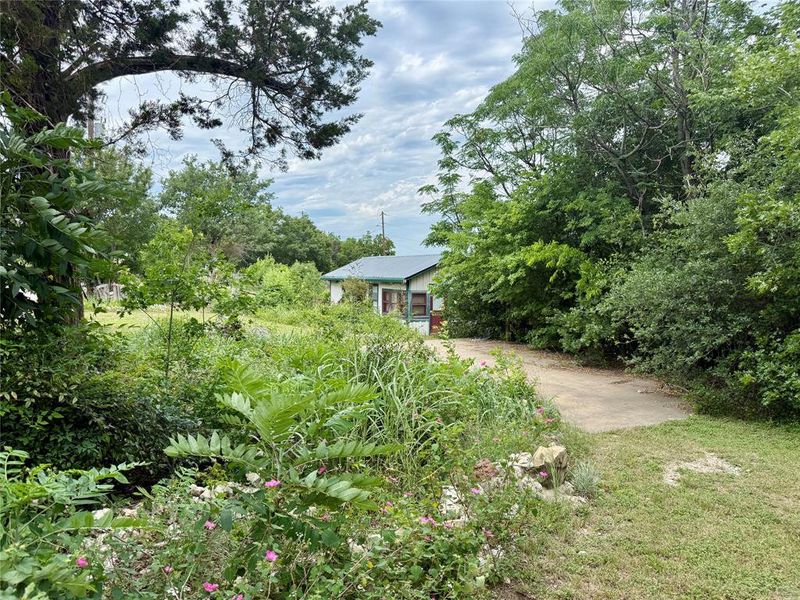 Natural landscape and outdoor views near  in Whitney (Image 12).