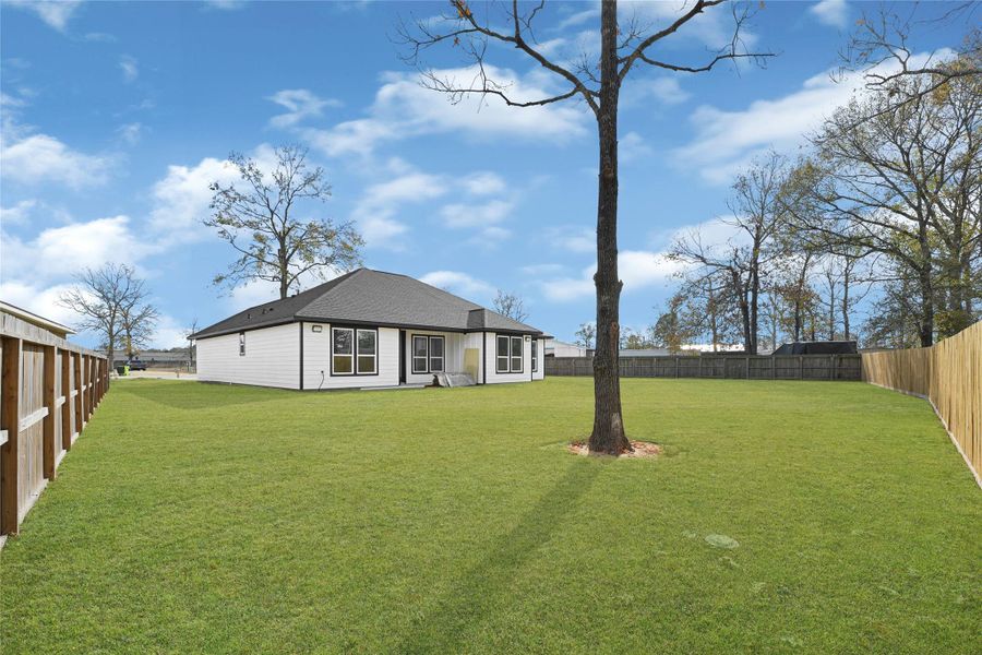 Large Backyard Large Backyard