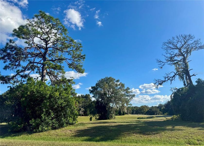 Natural landscape and outdoor views near in Tarpon Springs (Image 26). Natural landscape and outdoor views near in Tarpon Springs (Image 26).