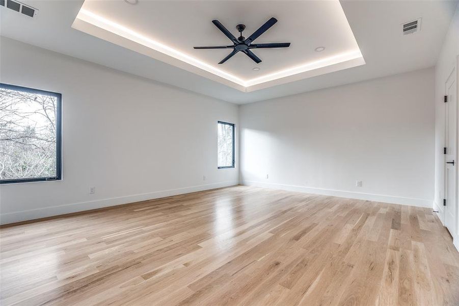 Empty room featuring light hardwood / wood-style floors, a raised ceiling, ceiling fan, and a healthy amount of sunlight