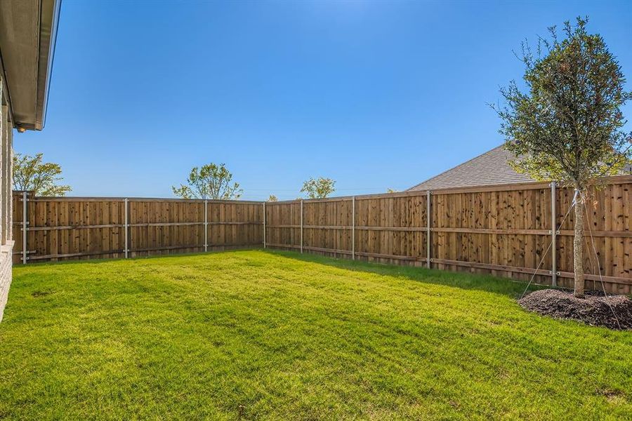 View of fenced backyard