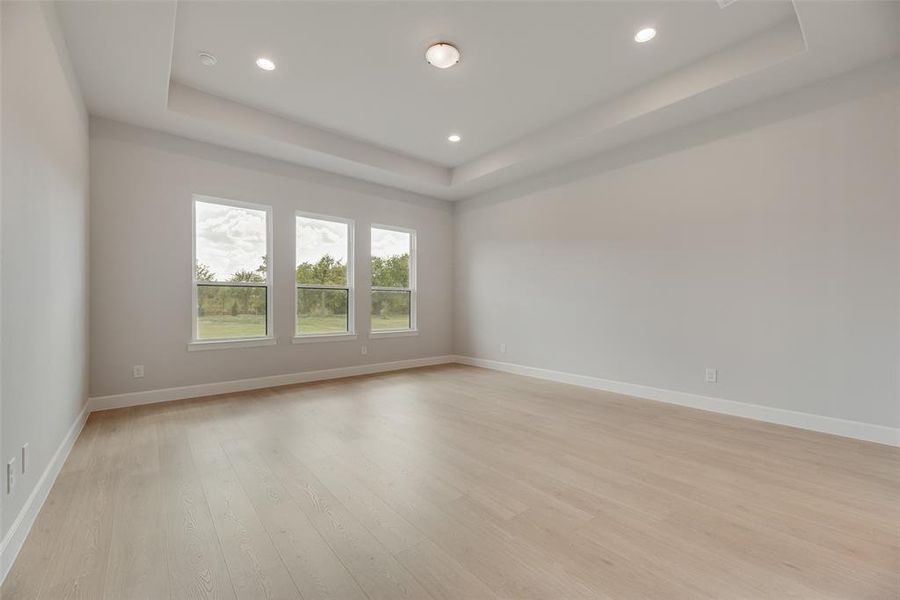 Empty room featuring a raised ceiling, light wood-type flooring, and recessed lighting