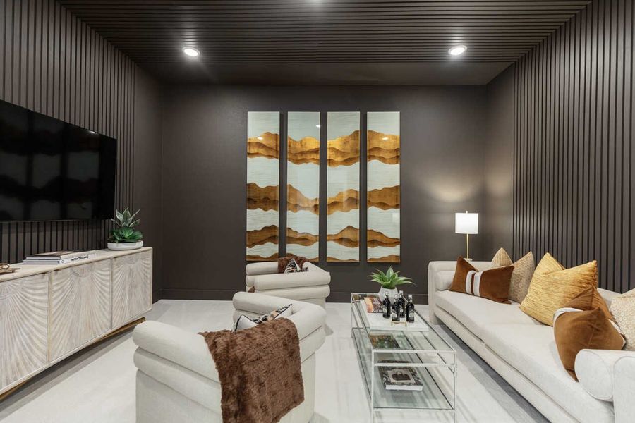 Entertainment Room Entertainment Room