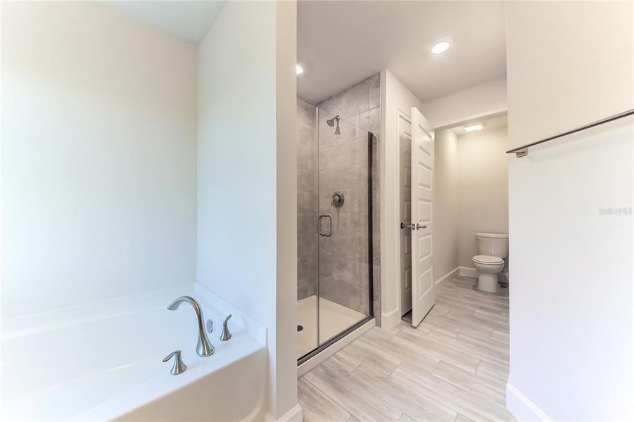 Furnished interior view inside a new home in Aviary at Rutland Ranch, Parrish (Image 10).