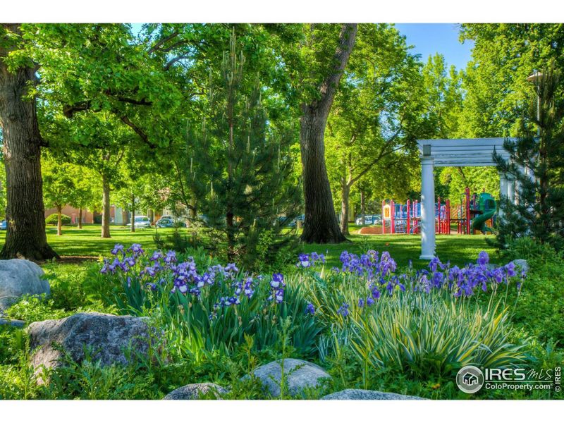 Summertime in Library Park, adjacent to La Vie Lumiere. Summertime in Library Park, adjacent to La Vie Lumiere.